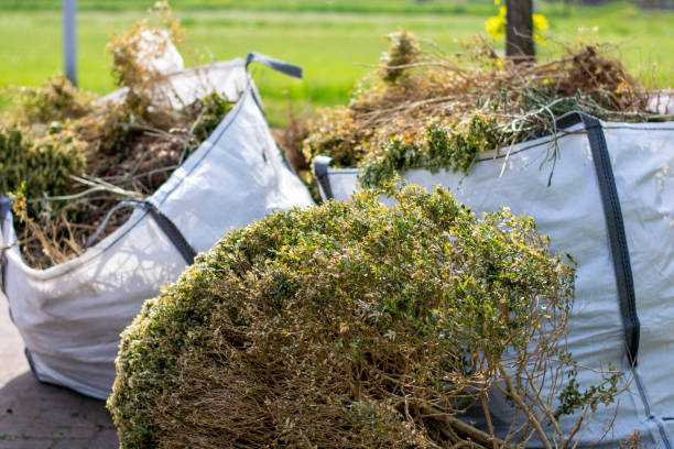 Best Professional Junk Removal  in Warrenton, MO
